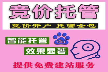 案例深度解读：SEM网络推广如何助力企业转型