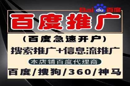 百度竞价排名实战：关键词优化与落地页优化案例